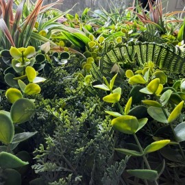 Mur Végétal Artificiel Haut de Gamme – Effet Nature Luxueux 1m X 1m