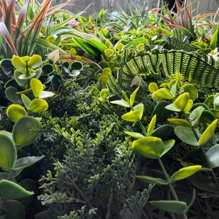Mur Végétal Artificiel Haut de Gamme – Effet Nature Luxueux 1m X 1m